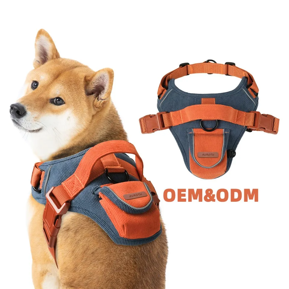 Cordour it jabduqlari