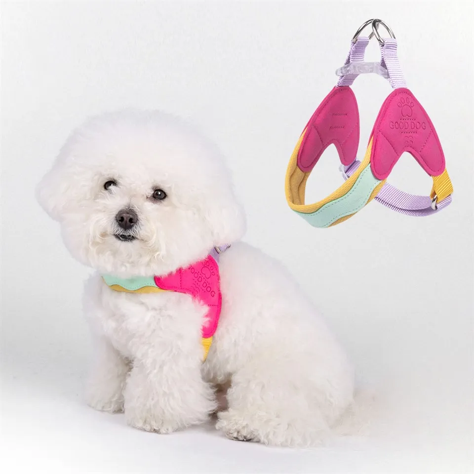 Kichik itlar uchun kuchukcha jabduqlar